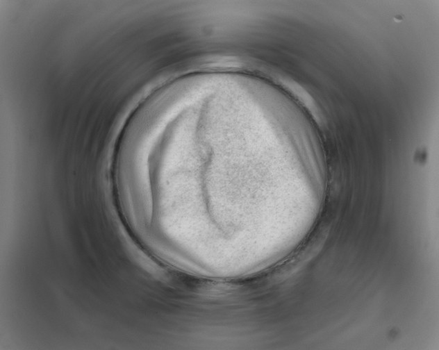 X0000101111475200807241124