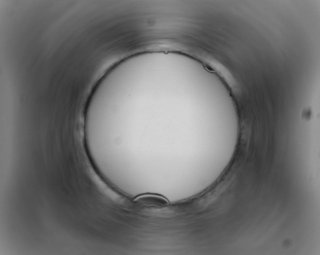 X0000101111476200807241124