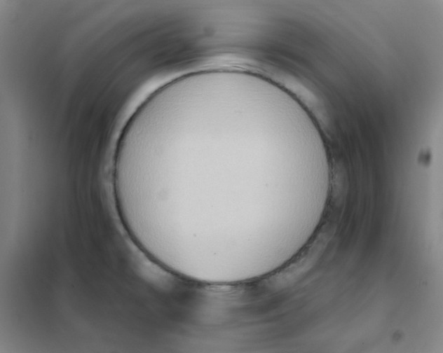 X0000101111478200807241124