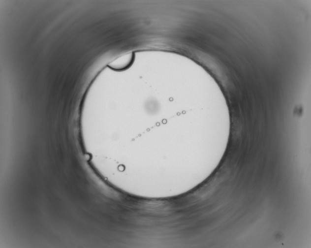 X0000101111479200807241124