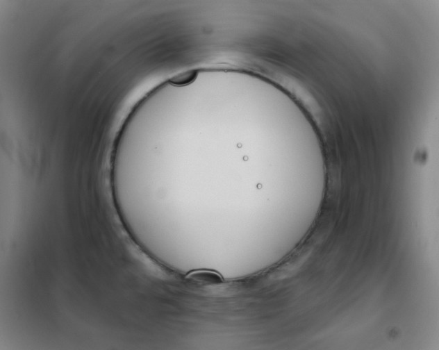 X0000101111480200807241124