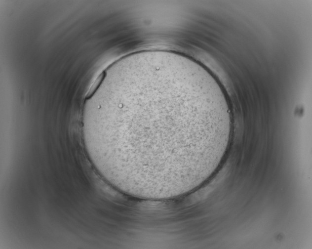 X0000101111481200807241124