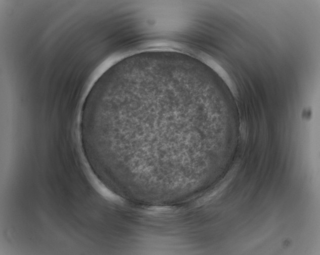 X0000101111482200807241124
