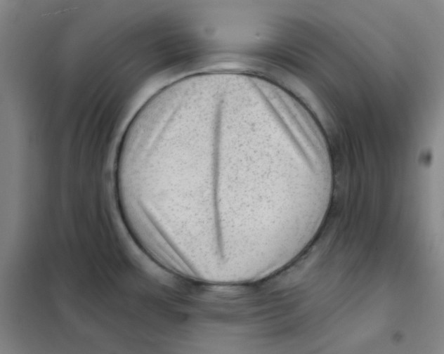 X0000101111483200807241124