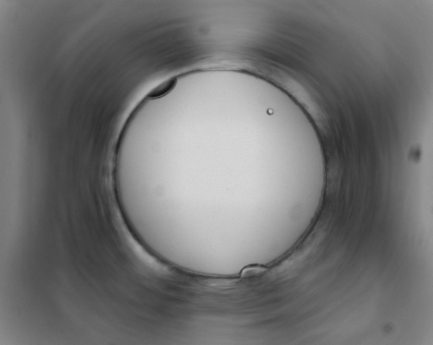 X0000101111484200807241124