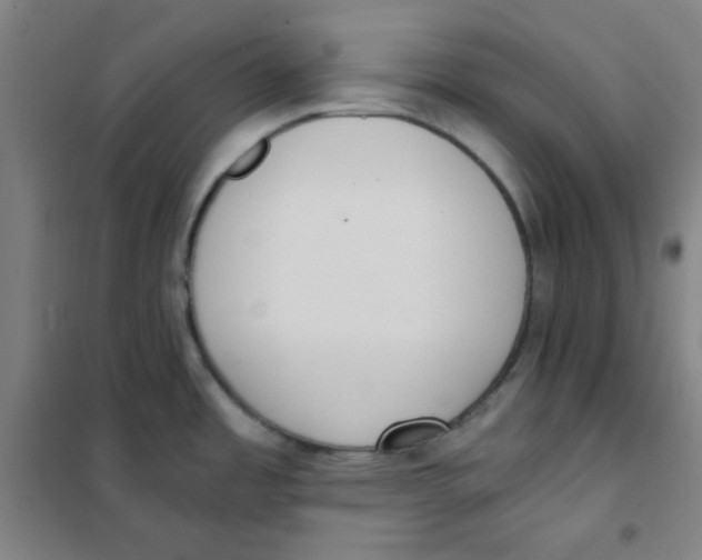 X0000101111485200807241124