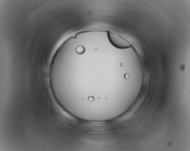 X0000101111486200807241124