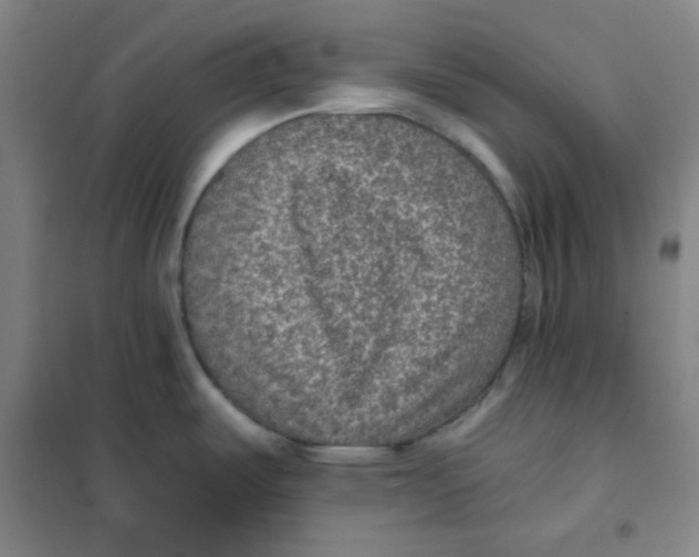 X0000101111487200807241124