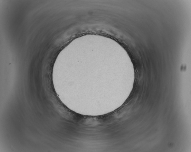 X0000101111489200807241123