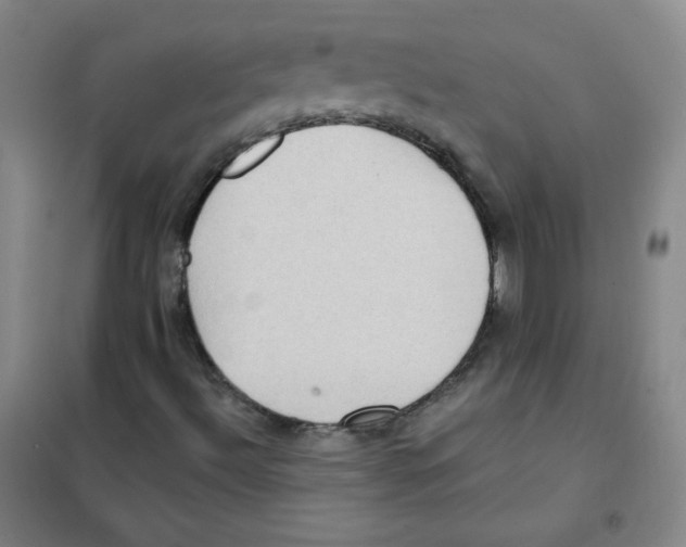 X0000101111492200807241123