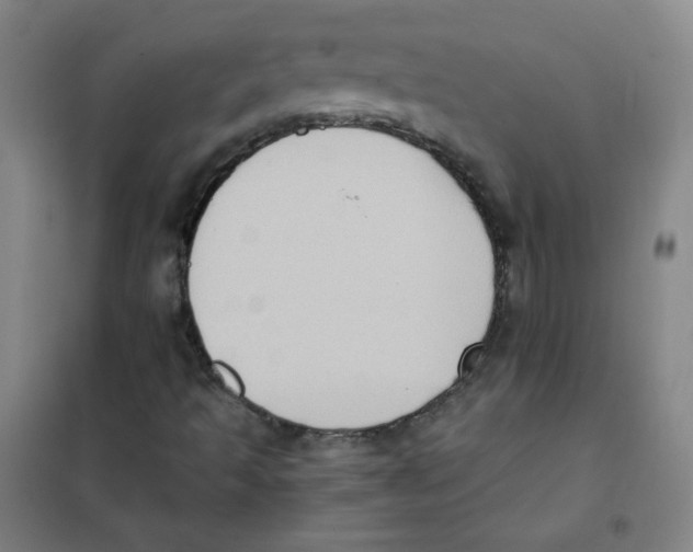 X0000101111493200807241123