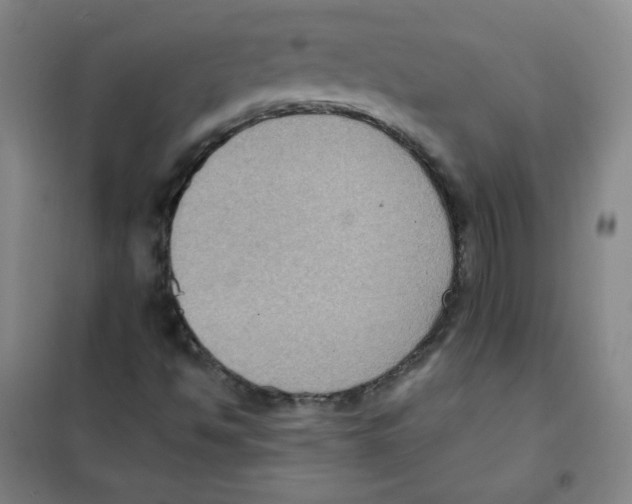 X0000101111494200807241123