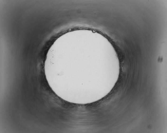 X0000101111495200807241123