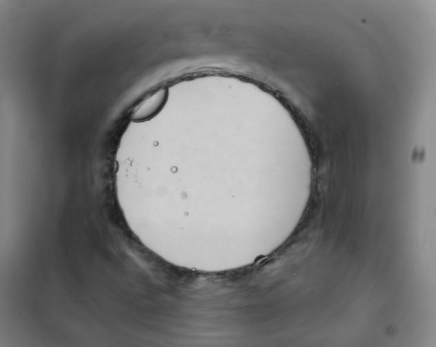 X0000101111496200807241123