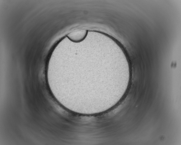 X0000101111498200807241123