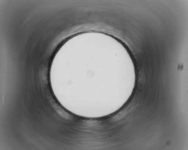 X0000101111499200807241123