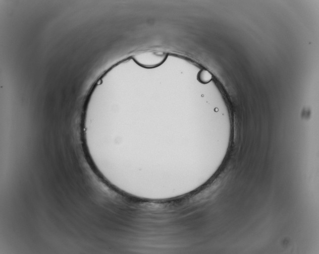 X0000101111500200807241123