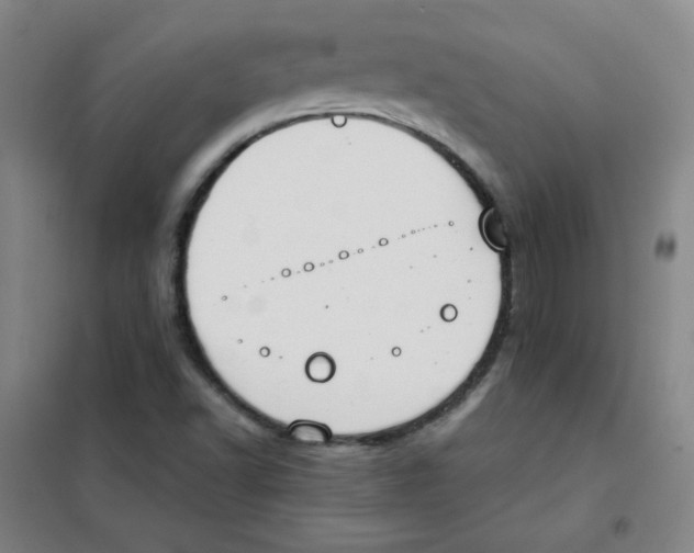 X0000101111502200807241123