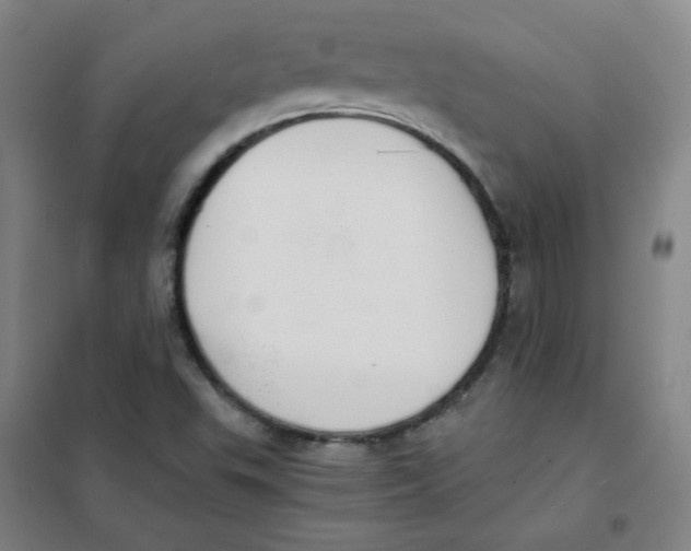 X0000101111503200807241123