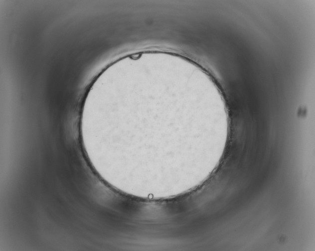 X0000101111504200807241123