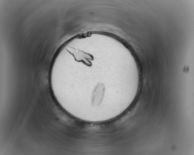 X0000101111505200807241123