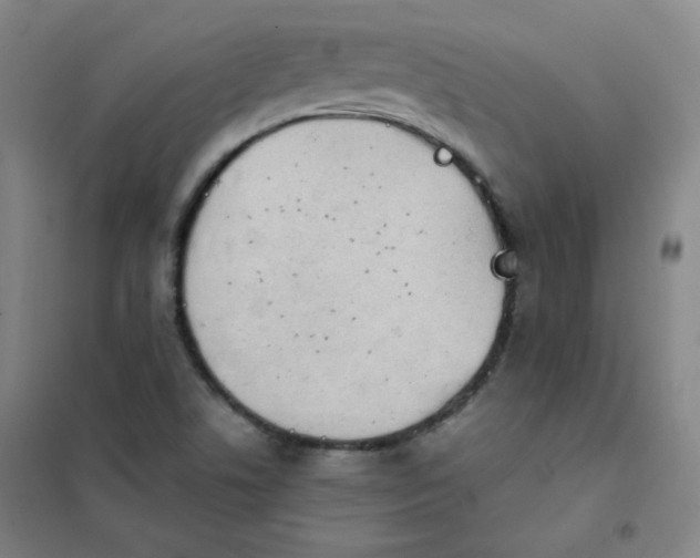 X0000101111506200807241123