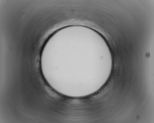 X0000101111507200807241123