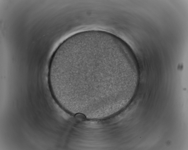 X0000101111508200807241123