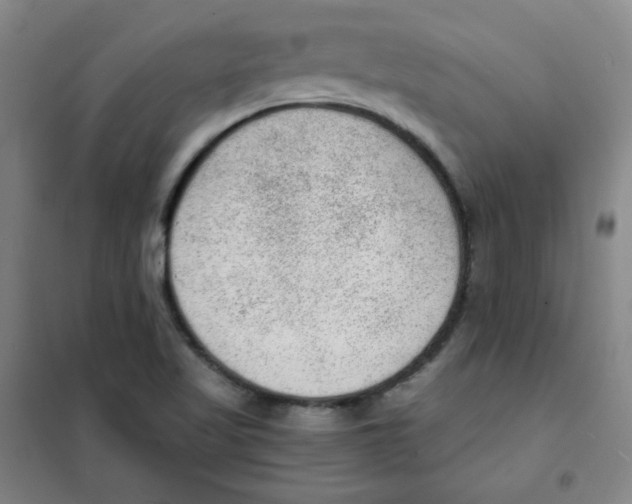 X0000101111509200807241123