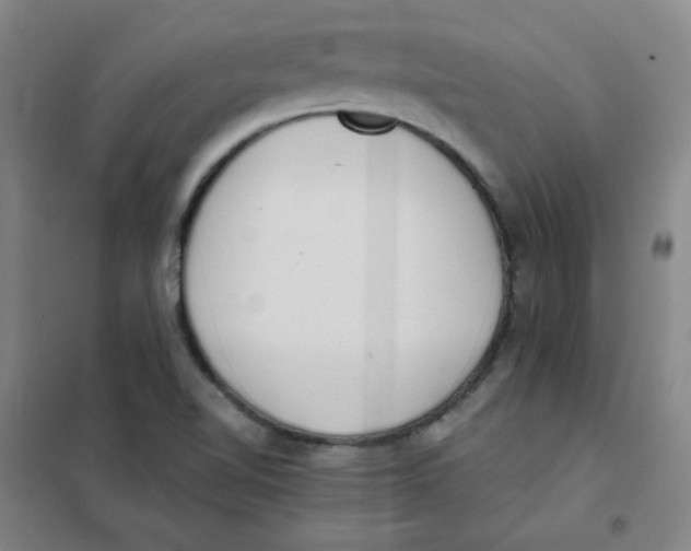 X0000101111510200807241123