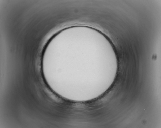 X0000101111511200807241123