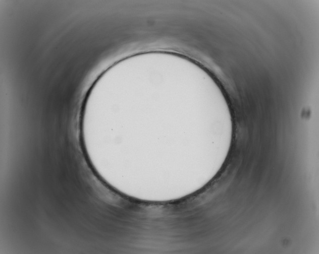 X0000101111512200807241123