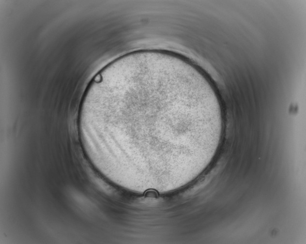 X0000101111513200807241123