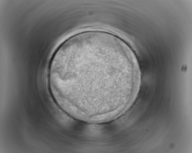 X0000101111514200807241123