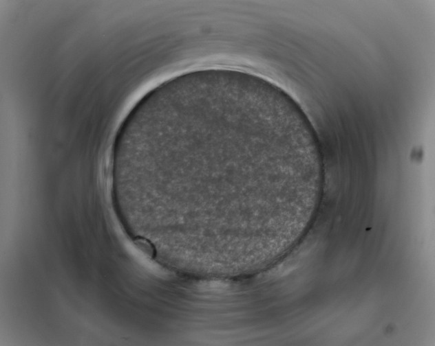 X0000101111515200807241123