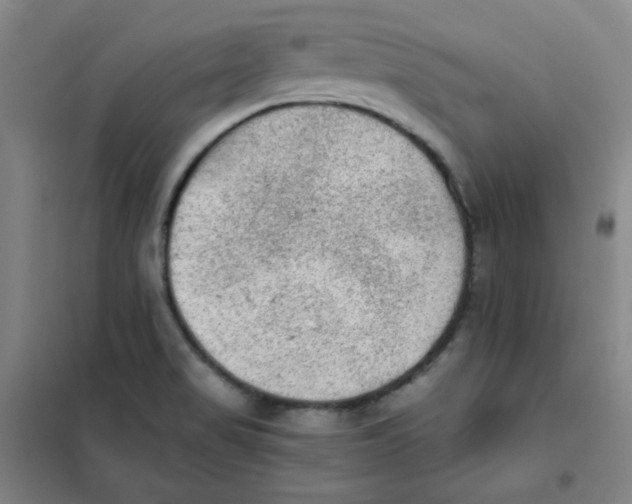 X0000101111517200807241123