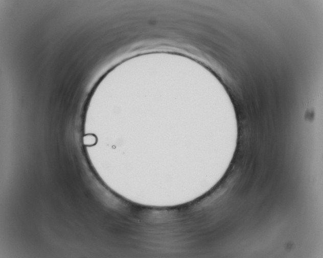 X0000101111518200807241123