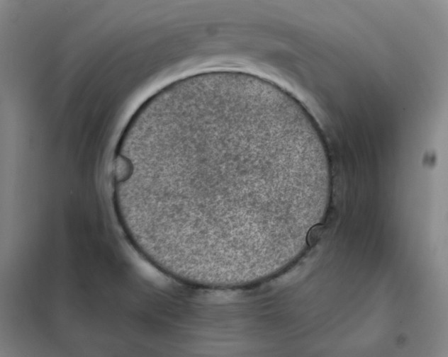 X0000101111519200807241124