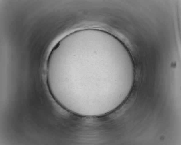 X0000101111520200807241124