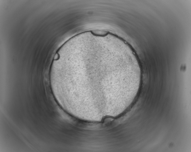 X0000101111521200807241124