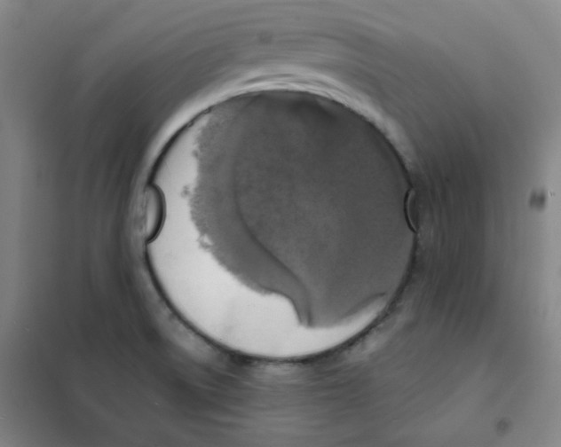 X0000101111522200807241124