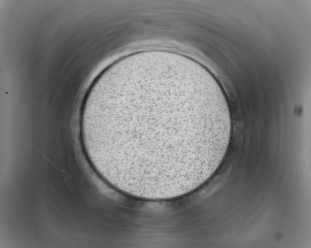 X0000101111523200807241124