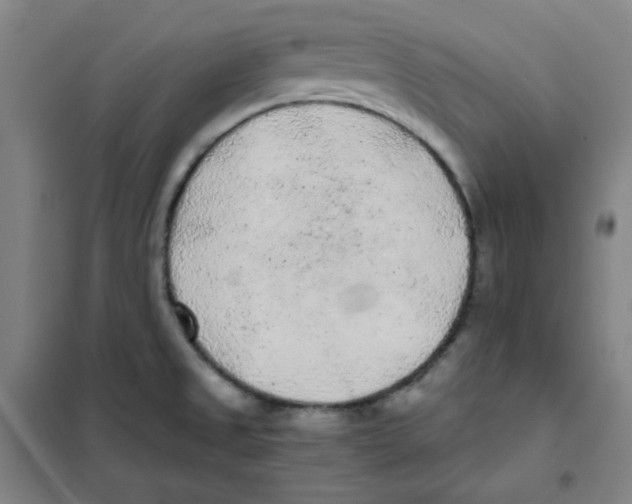 X0000101111525200807241124