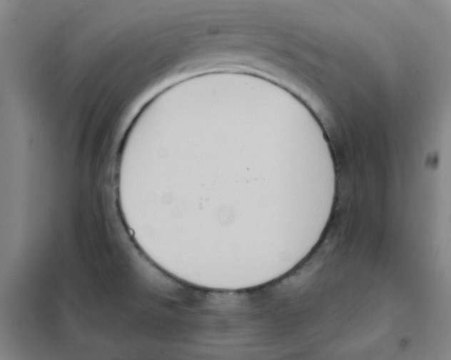 X0000101111526200807241124