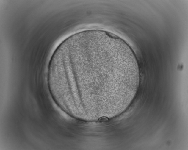 X0000101111527200807241124