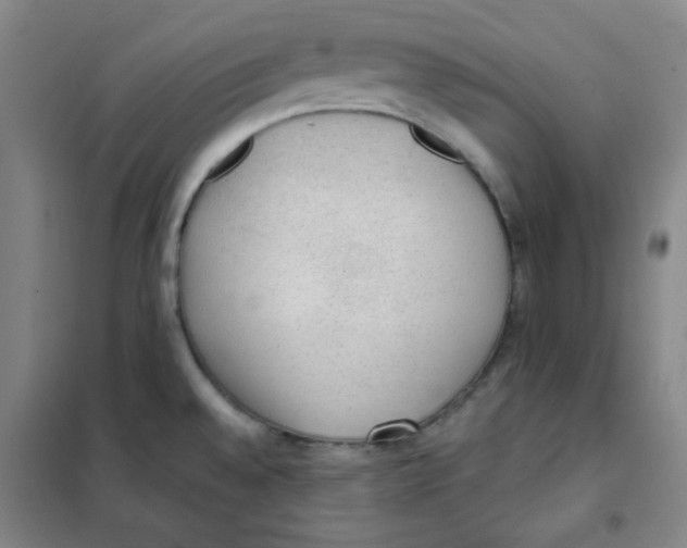 X0000101111528200807241124