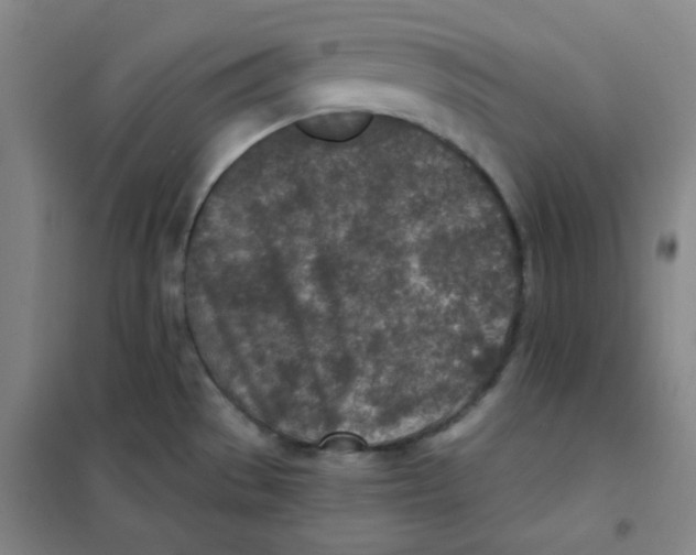 X0000101111529200807241124