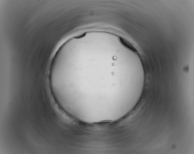 X0000101111530200807241124