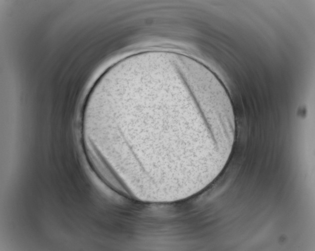 X0000101111531200807241124