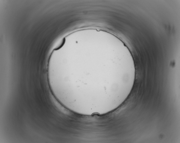 X0000101111532200807241124